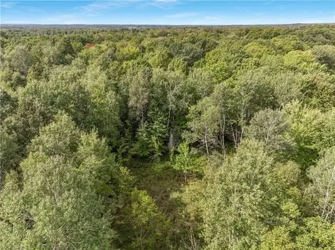 40 Acres 330th St, Boyd, WI 54726 photo 13
