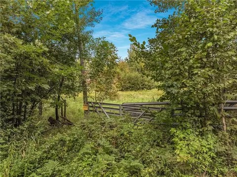 40 Acres 330th St, Boyd, WI 54726 photo 2