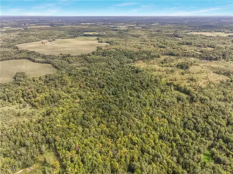 40 Acres 330th St, Boyd, WI 54726 photo 17