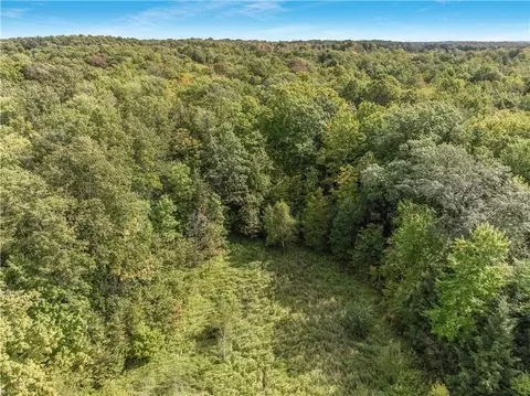 40 Acres 330th St, Boyd, WI 54726 photo 12