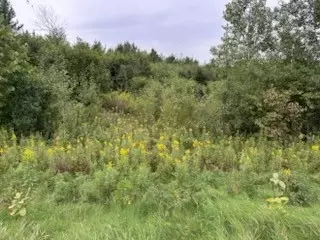 1433 300th Ave, Frederic, WI 54837 photo 6