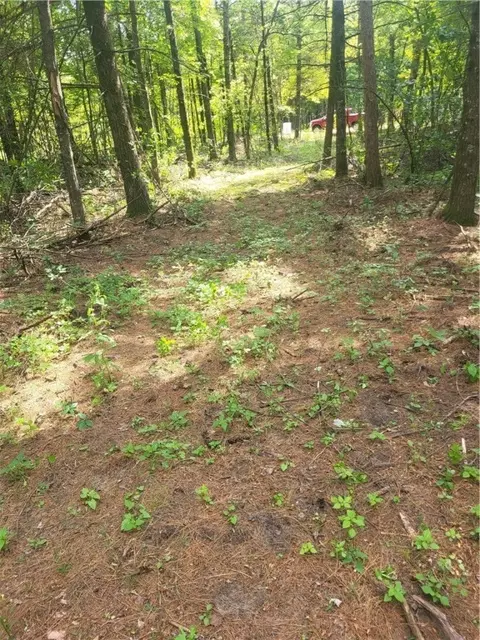lot4 Betty Ln, Black River Falls, WI 54615