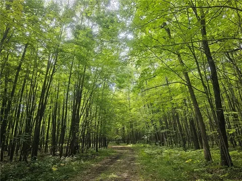 lot8 Ken Can Ln, Webster, WI 54893