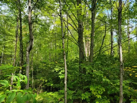 On Cemetery Road, Radisson, WI 54867 photo 6
