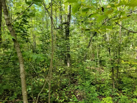 On Cemetery Road, Radisson, WI 54867 photo 5