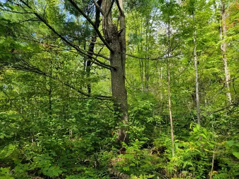 On Cemetery Road, Radisson, WI 54867 photo 7