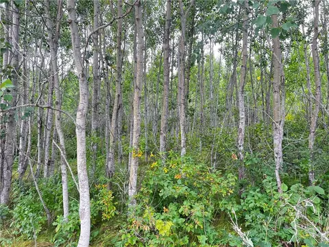 lot1 County Road T, Minong, WI 54838