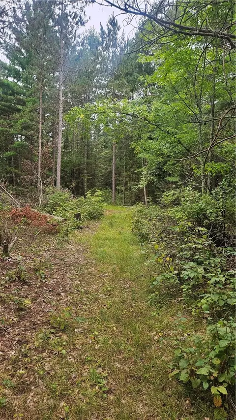 lot1 Hazelnut Ln, Hayward, WI 54843