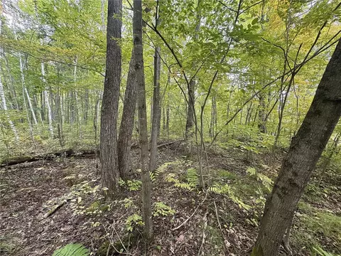 tbd 282nd Ave, Holcombe, WI 54745