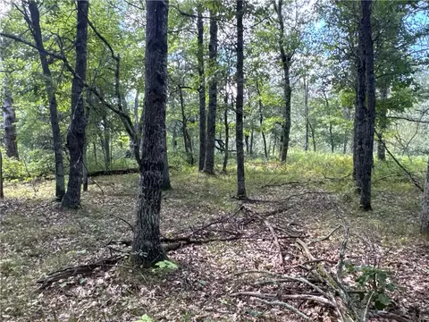 tbd French Rd, Danbury, WI 54830