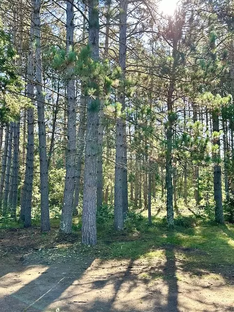 Other - w3652 Willers Road, Springbrook, WI 54875 photo 17 of 17