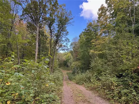 0 County Forest Rd, Stone Lake, WI 54876