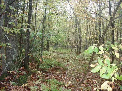 80 Acres On Bass Lake Rd, Park Falls, WI 54552