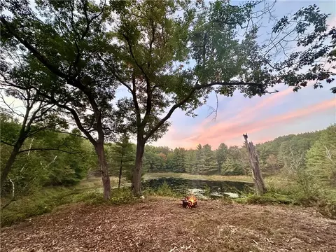 16 43 Acres Antler Lake Dr, Milltown, WI 54858