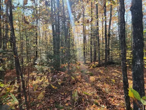 3789 Indian Way # W, Loretta, WI 54896