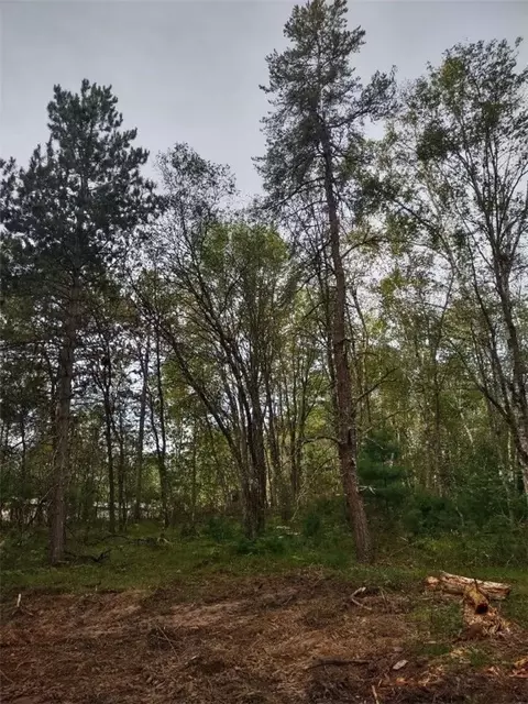 tbd Lynx Rd, Barnes, WI 54837 photo 2