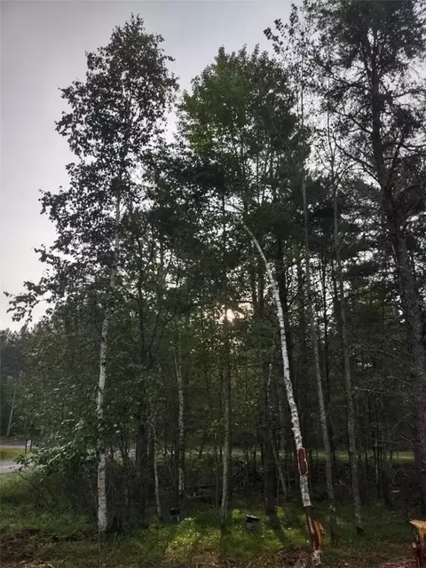 tbd Lynx Rd, Barnes, WI 54837 photo 3