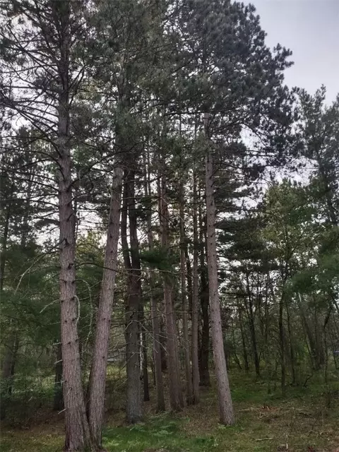 tbd Lynx Rd, Barnes, WI 54837