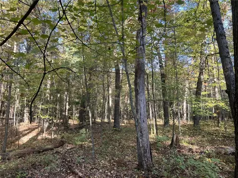 24877 Leghorn Dr, Siren, WI 54872