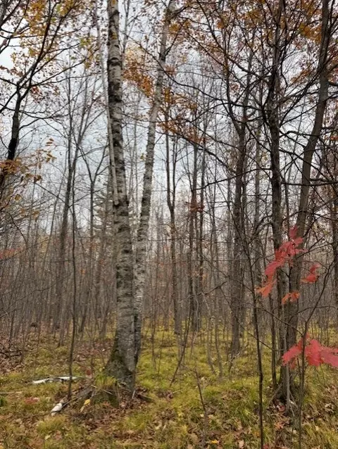 lot10 N Silver Birch Dr, Cable, WI 54821