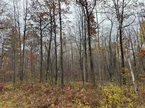 lot11 N Silver Birch Dr, Cable, WI 54821