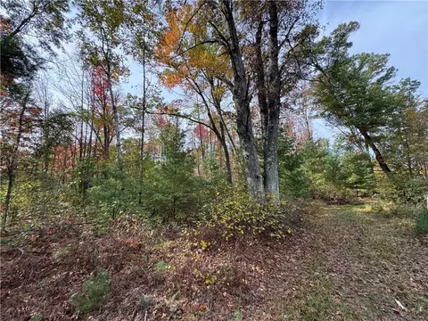 000 Robin Ave, Granton, WI 54436 photo 20