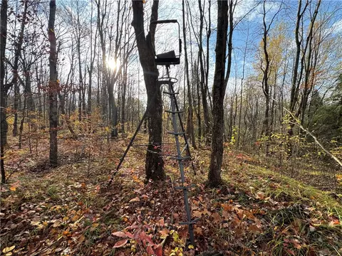 000 Mountain View Ln, Merrill, WI 54452 photo 7