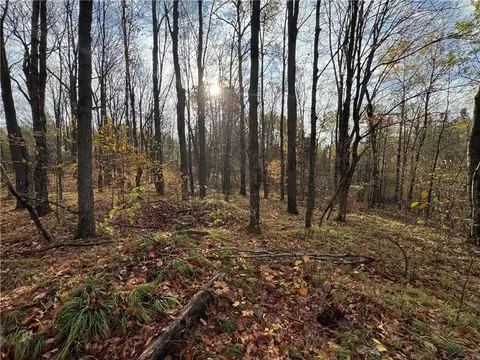 000 Mountain View Ln, Merrill, WI 54452 photo 9