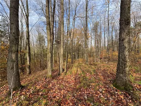 000 Mountain View Ln, Merrill, WI 54452 photo 12