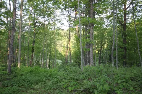 lot2 Timber Wolf Dr, Springbrook, WI 54875 photo 12