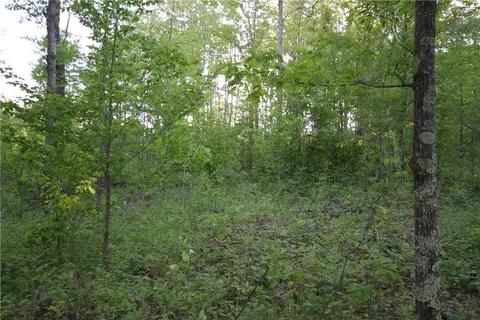 lot2 Timber Wolf Dr, Springbrook, WI 54875 photo 2