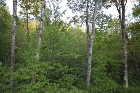 lot2 Timber Wolf Dr, Springbrook, WI 54875 photo 4