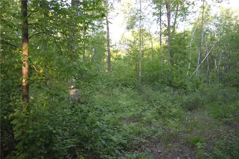 lot1 Timber Wolf Dr, Springbrook, WI 54875 photo 4
