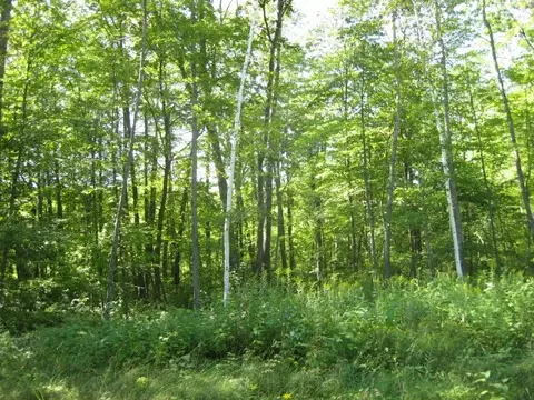 lot1 Timber Wolf Dr, Springbrook, WI 54875 photo 6