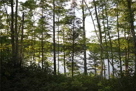 lot1 Timber Wolf Dr, Springbrook, WI 54875 photo 12