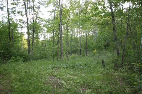 lot1 Timber Wolf Dr, Springbrook, WI 54875 photo 3