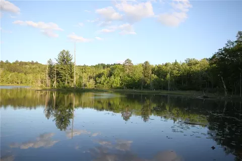 lot1 Timber Wolf Dr, Springbrook, WI 54875 photo 5