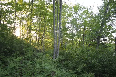 lot1 Timber Wolf Dr, Springbrook, WI 54875 photo 10