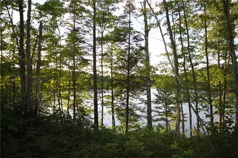 lot1 Timber Wolf Dr, Springbrook, WI 54875