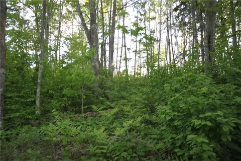 lot1 Timber Wolf Dr, Springbrook, WI 54875 photo 11