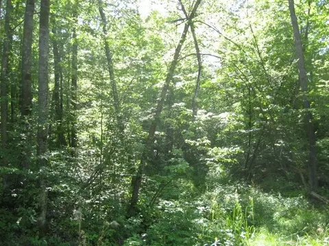 lot1 Timber Wolf Dr, Springbrook, WI 54875 photo 7