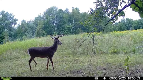 0 Old 14 Rd, Weyerhaeuser, WI 54895 photo 32