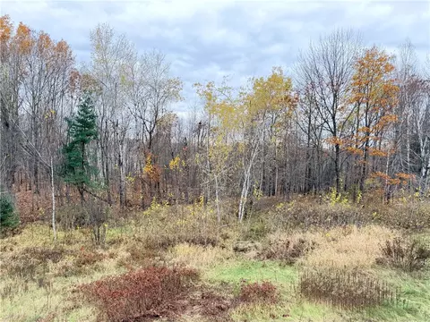 0 Old 14 Rd, Weyerhaeuser, WI 54895 photo 59