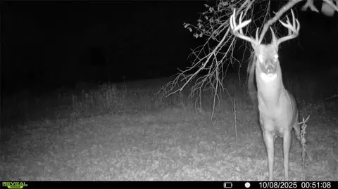 0 Old 14 Rd, Weyerhaeuser, WI 54895 photo 28