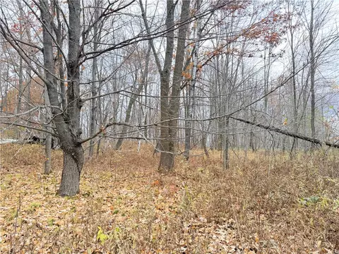 0 Old 14 Rd, Weyerhaeuser, WI 54895 photo 15