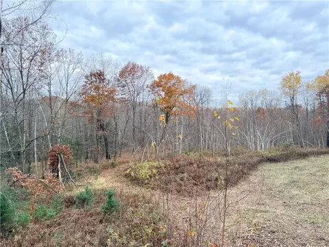 0 Old 14 Rd, Weyerhaeuser, WI 54895 photo 19
