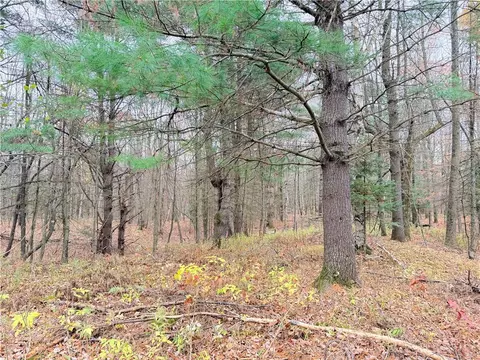 0 Old 14 Rd, Weyerhaeuser, WI 54895 photo 57