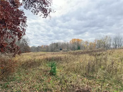 0 Old 14 Rd, Weyerhaeuser, WI 54895 photo 33