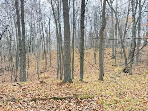 0 Old 14 Rd, Weyerhaeuser, WI 54895 photo 52