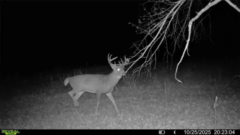 0 Old 14 Rd, Weyerhaeuser, WI 54895 photo 10